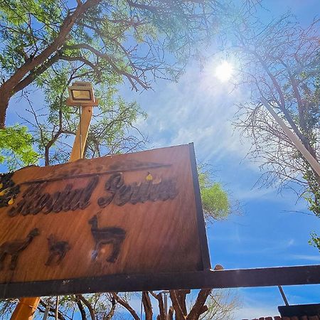 Hostal Perita San Pedro de Atacama Ngoại thất bức ảnh
